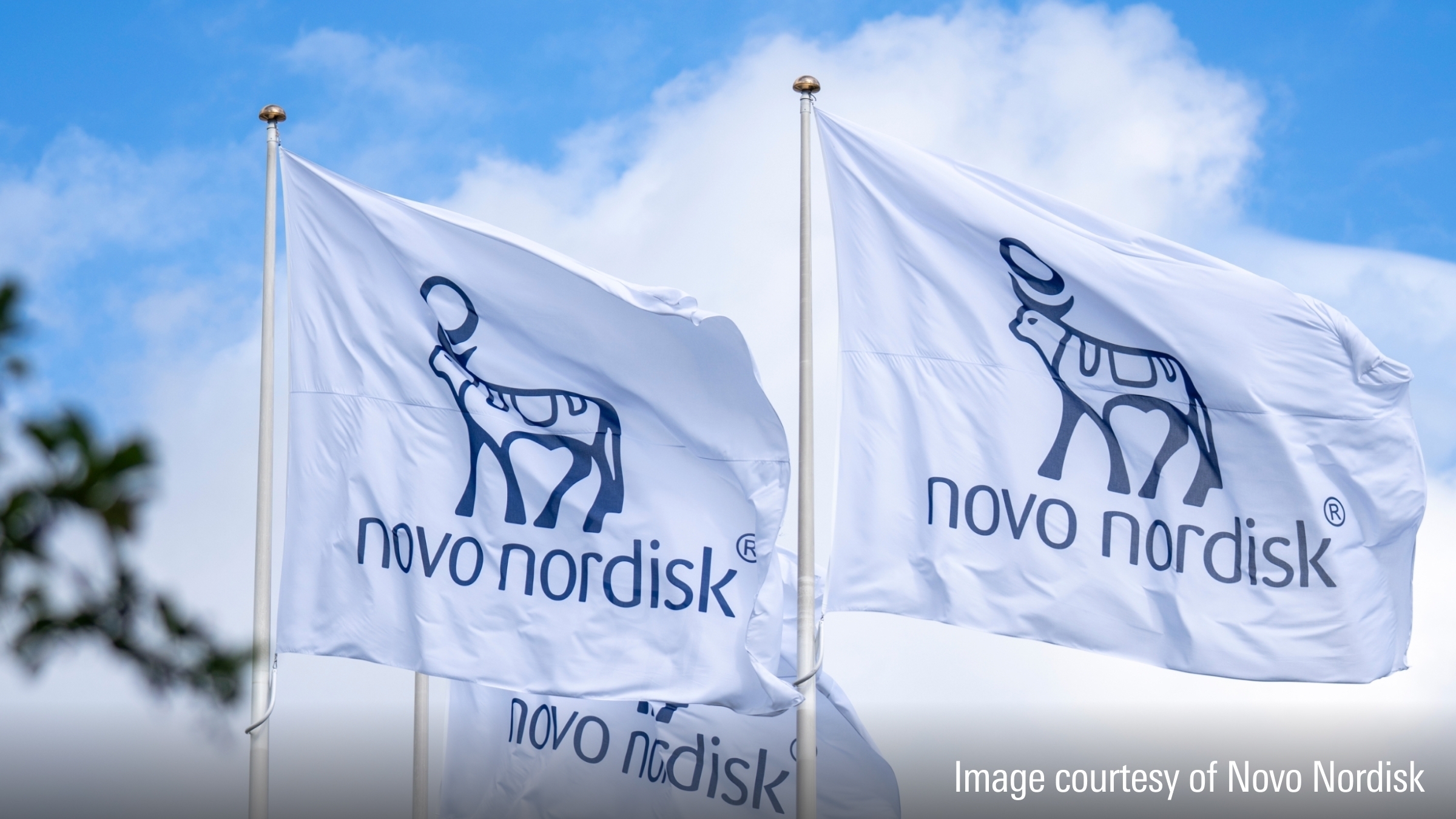 Novo Nordisk logos