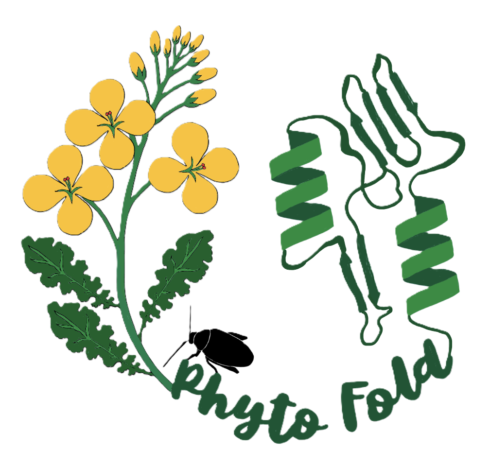 PhytoFold Logo
